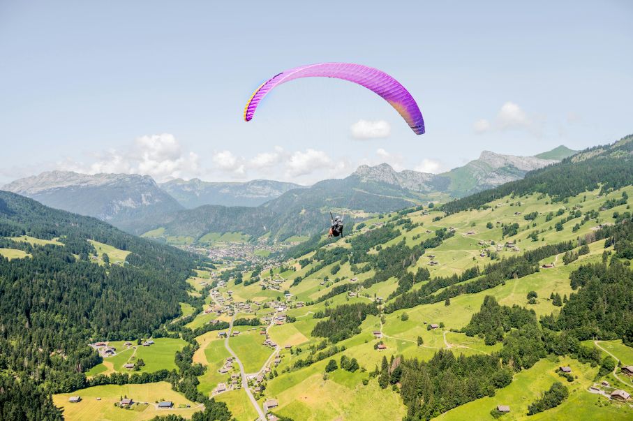 Parapente avec voile violette